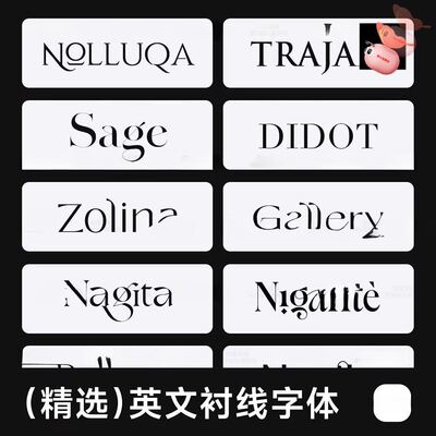 12款精选英文衬线字体包下载 高级感字体素材Mac/Win/PS/AI/AE/Pr