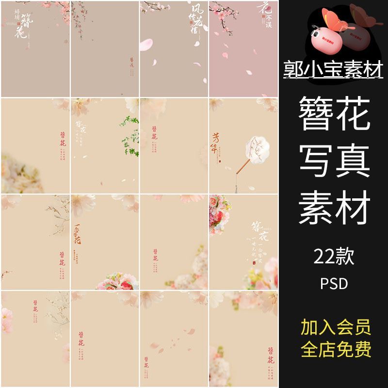 簪花古风中式汉服赵丽颖同款女写真照设计PSD模板后期PS修图素材图片