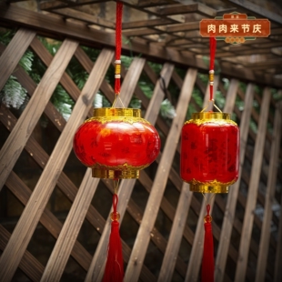 新年新春喜庆装饰灯笼亮灯手提国风手持元宵节中秋节游园灯会电池