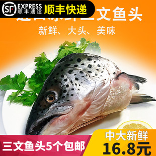 进口新鲜冰鲜三文鱼头450-500克烧烤炖汤剁椒煎大个鱼头现杀4个起