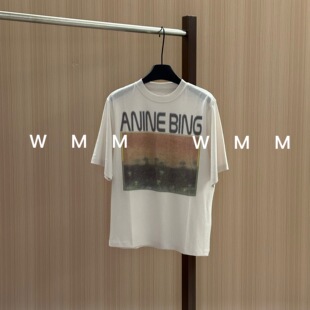 百搭时尚 新款 休闲宽松设计韩系 字母t恤女秋季 WMM花海剪影ab短袖