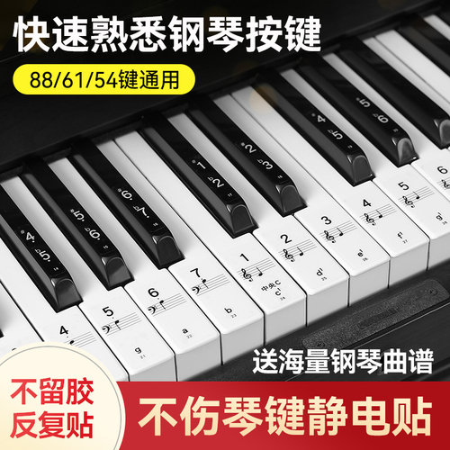 纳米钢琴键盘贴88/61/54键通用