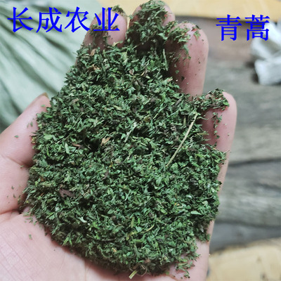 500g长成农业青蒿天然黄蒿中药材苦蒿臭蒿鲜货/干货苦蒿子