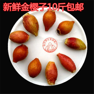 10斤装包邮干金樱子现摘 野生金樱子 刺梨子金英子  金樱果泡药酒
