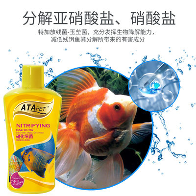 直销ATA硝化细菌鱼缸用消化菌活菌净水剂水族养鱼用品净化水质稳