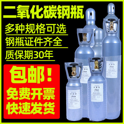 二氧化碳co2钢瓶高压小型瓶