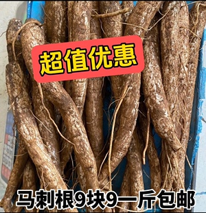 云南大山现挖新鲜马刺根鸡刺根大蓟刺萝卜恶鸡婆炖鸡炖排骨炖猪蹄