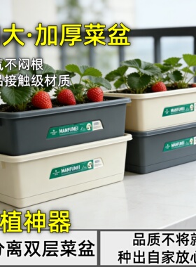 加大超厚长方形种菜盆自吸水种菜