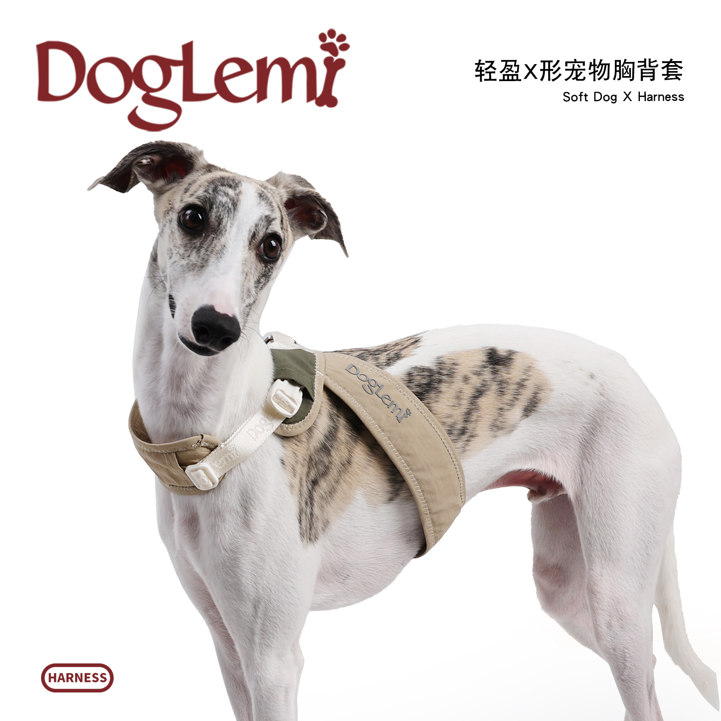 doglemi宠物新款透气X型胸背带