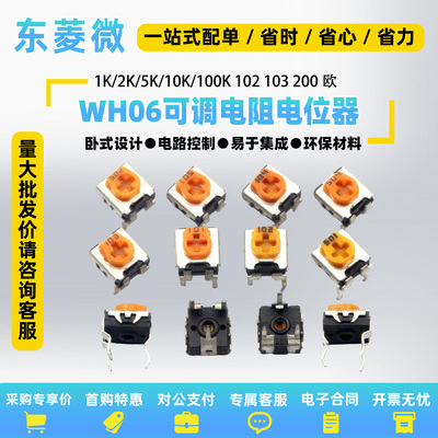 RM063立式WH06-1C可调电阻电位器