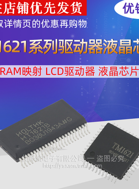 HT1621B 贴片SSOP-48 RAM映射 LCD驱动器 液晶芯 TM1621 优铄信
