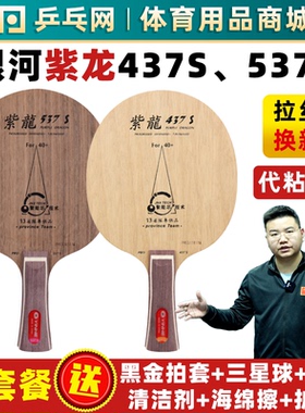 【湿父推荐】银河紫龙437S底板537S同斯蒂卡CLCR结构纯木乒乓球拍