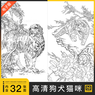 猫咪小猫小狗家犬高清线稿白描工笔画绘画新手初学者练习临摹素材
