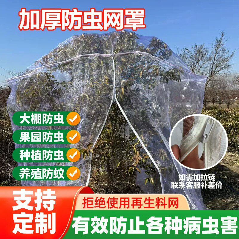 防虫网罩纱网樱桃杨梅蓝莓莲雾果树防鸟防蚊蝇防污染网套透气透光