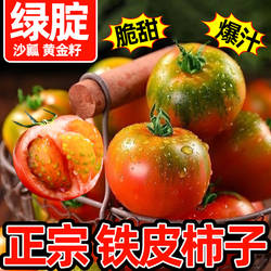 铁皮西红柿柿子草莓柿子番茄辽宁丹东绿腚油柿新鲜水果碱地自然熟