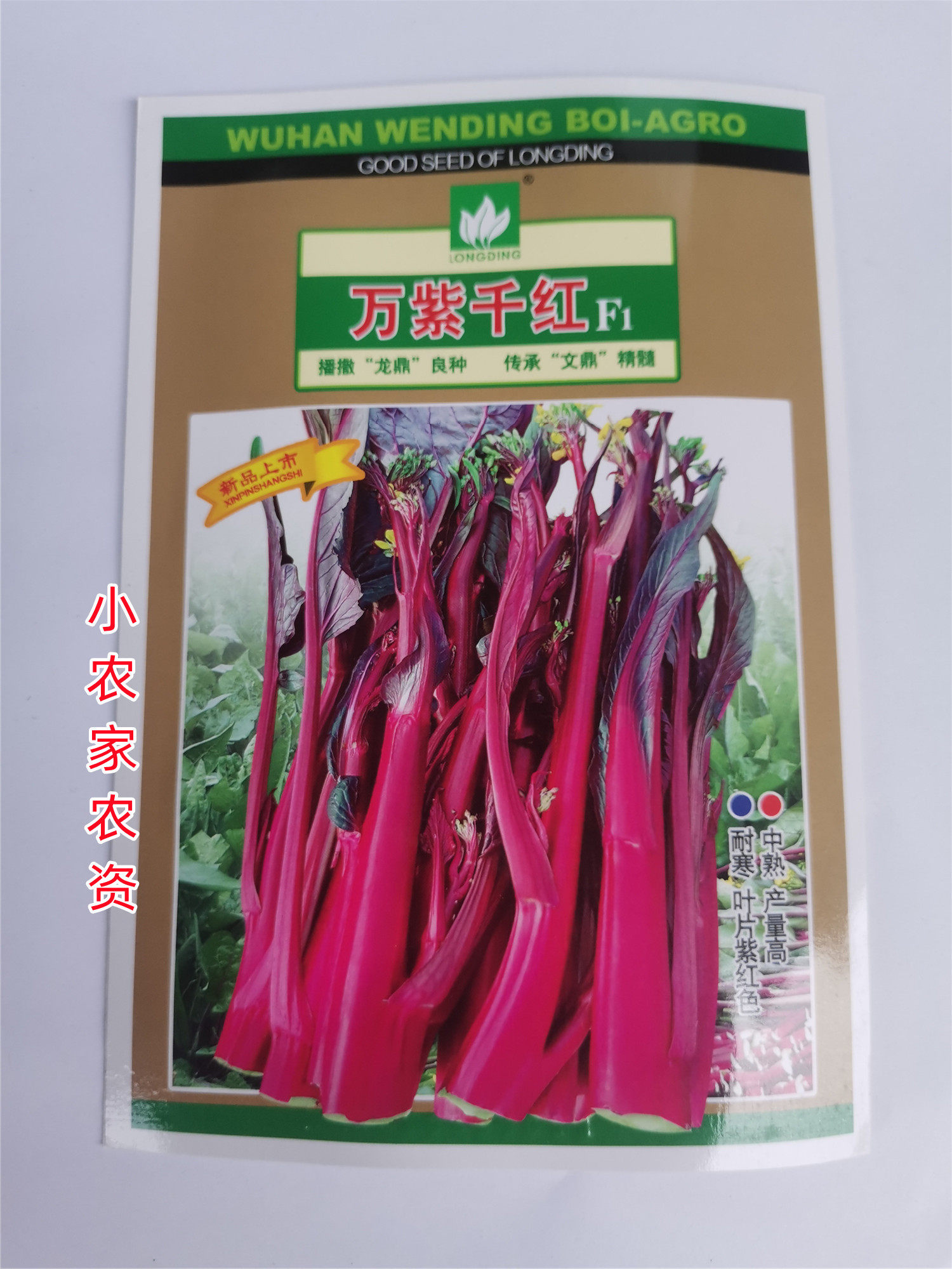 武汉文鼎农业 万紫千红 红菜苔种子高产紫红菜苔四季蔬菜孑杂交