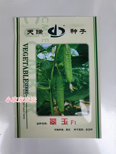天瑞 翠玉F1节性黄瓜 脆水果黄瓜种春播种蔬菜水果健康蔬果四季