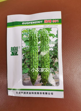 天津科润种业 国峰901 苦瓜种子 高产油绿瓜形顺直 大田用种100粒