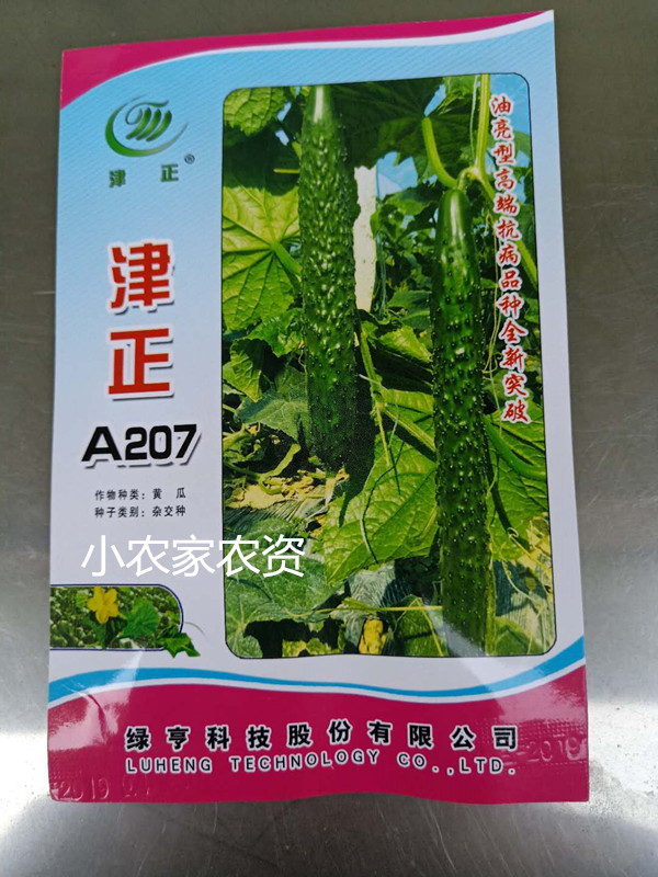 北京绿亨津正A207青瓜种子10克油亮型抗病刺黄瓜青瓜抗病耐热高产图片