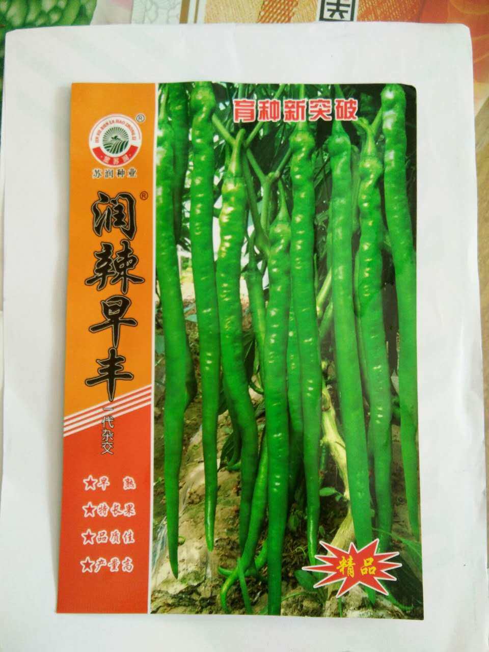 线椒蔬菜种子 苏润种业润辣早丰辣椒 辣味适中 抗病高产坐果率高