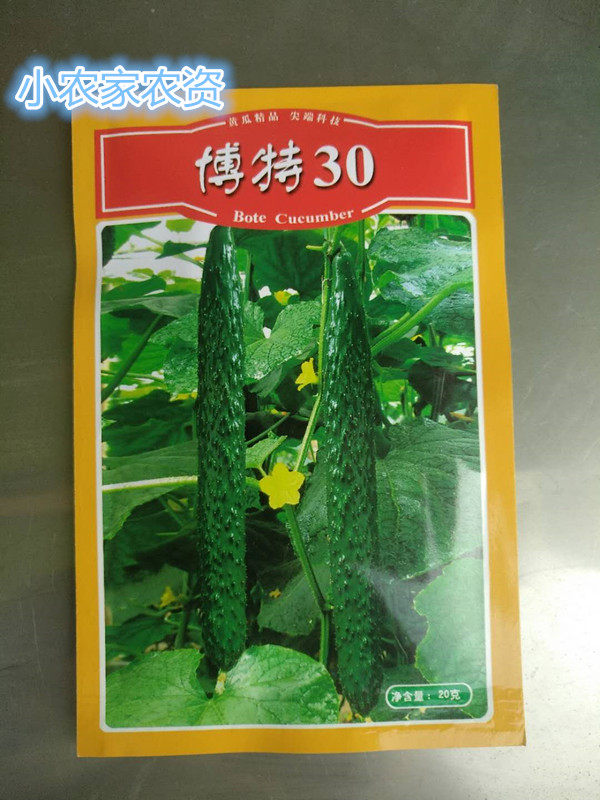 天津德瑞特 博特30号露地黄瓜好品种 耐热高产油亮型高产种子20克
