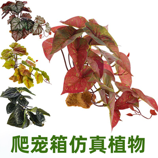 爬宠箱造景仿真植物鬃狮蜥树蛙乌龟金鱼缸造景仿真水草假绿植