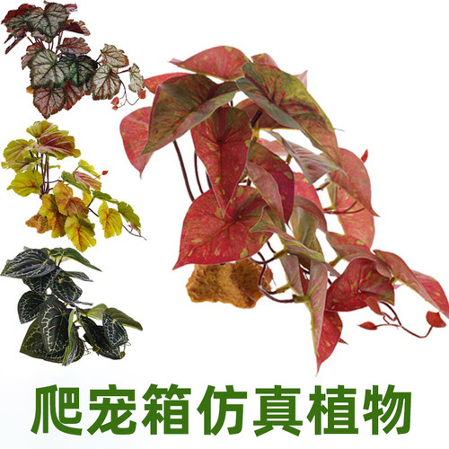 爬宠箱造景仿真植物装饰摆件