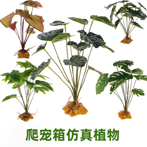 爬宠箱造景仿真植物摆件