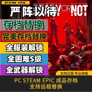 PC steam 严阵以待 完美全收集存档修改替换 全武器收集衣服装备