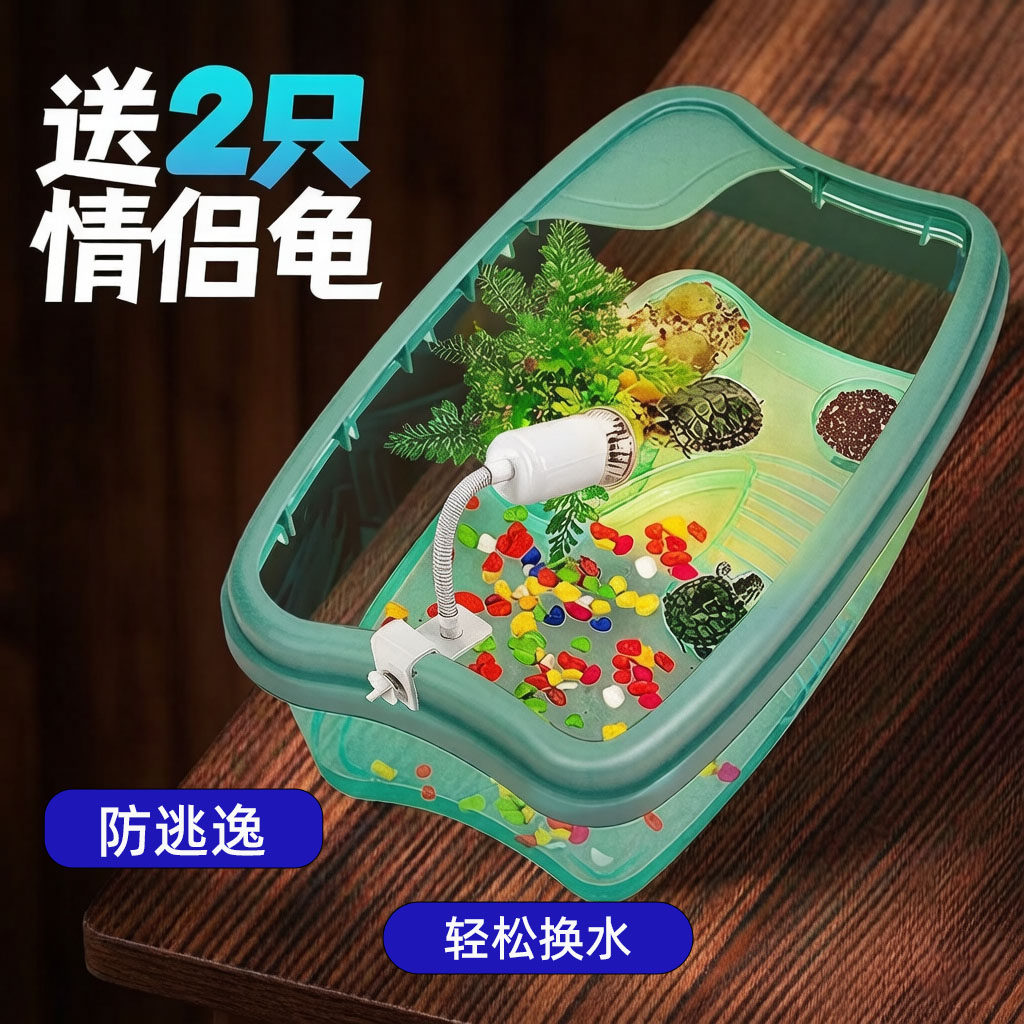 小乌龟活物宠物观赏家养中华草龟珍珠巴西花龟小型好幼龟苗耐活体