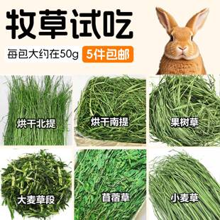兔子试吃牧草提摩西草南提北提干草 龙猫果树草燕麦草黑麦草50g