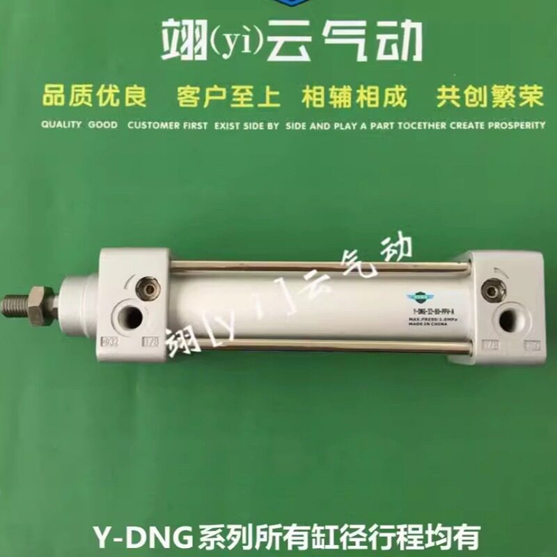 翊云气动标准气缸Y-DNG-160-25 50/75 100 125 150 175 200-PPV-A