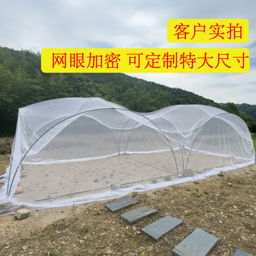 简易方顶蚊帐户外吊床旅行方便携带免安装5米长宽露营野营大蚊帐