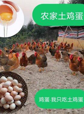 土鸡蛋清远农家散养30枚