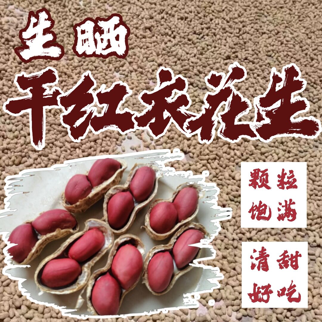 新货红皮红衣花生新鲜带壳少泥生晒干的红衣花生5斤10斤装包邮