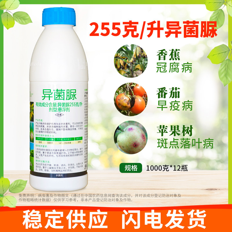 255克/升异菌脲番茄葡萄灰霉病菌核病早疫病香蕉冠腐病农药杀菌剂