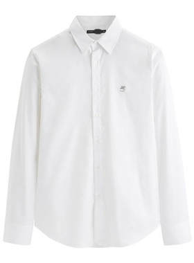 2024秋季男士长袖衬衫撞色飞马小刺绣修身衬衣休闲上衣C3128/A10