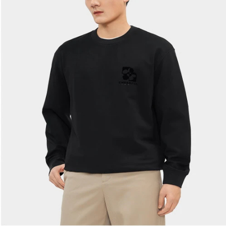 秋季男士新款休闲圆领百搭立体字母植绒上衣早秋02620/T11