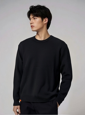 (鸟)秋冬男士经典简约圆领针织衫保暖套头毛衣打底毛衫潮P4245/A6