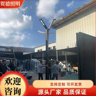 现代树枝树干灯造型LED景观灯户外园林城市亮化工程照明景观灯