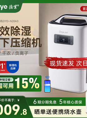 德业除湿机家用轻音抽湿机除湿器地下室别墅级吸抽湿器 DYD-N20A3