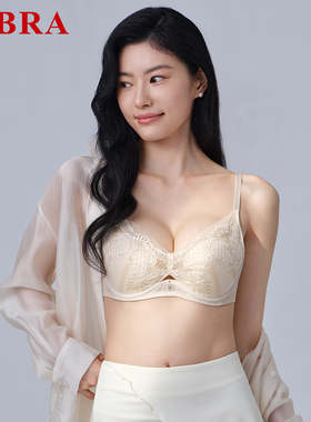 E-BRA蕾丝刺绣薄款V型性感内衣聚拢防下垂大胸软钢圈文胸KB00293