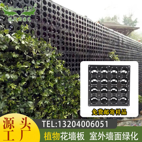 盆式花墙垂直绿化级别直供植物墙