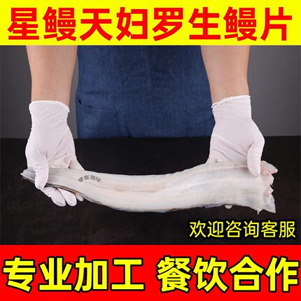 星鳗鱼生鲜鲜活开片鳗鱼片冷冻半成品烧烤星鳗天妇罗食材顺丰包邮