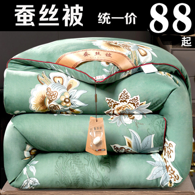 蚕丝被长丝棉春秋冬季被子加厚