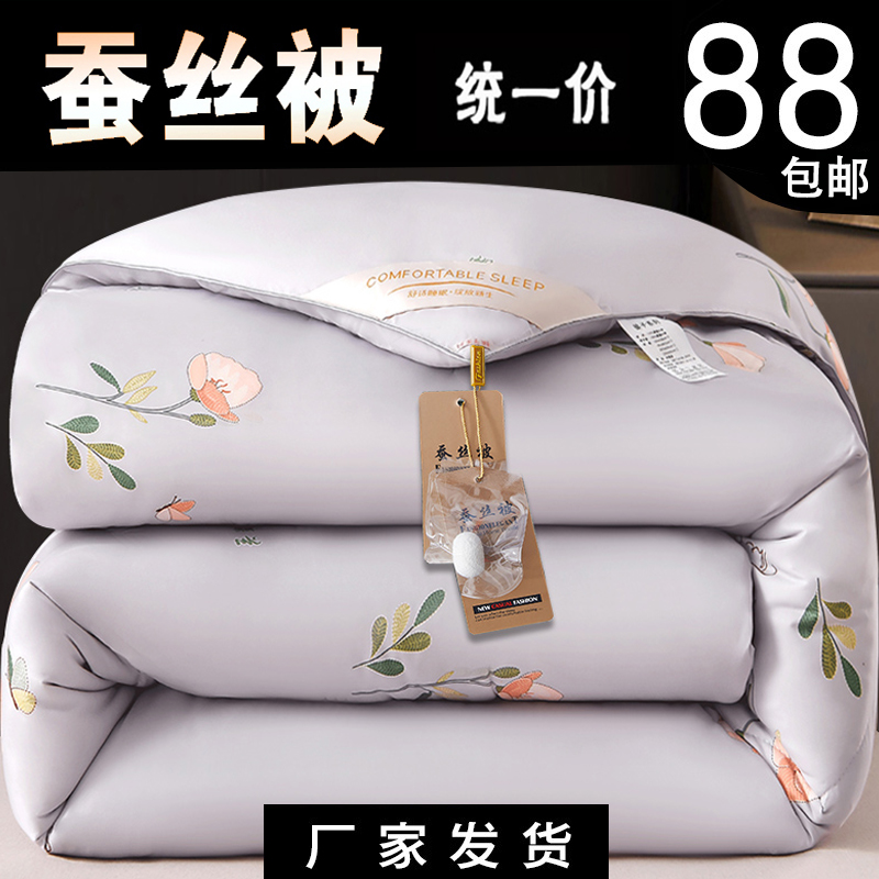 加厚被子冬被100%桑丝棉春秋冬天纯棉被芯冬季太空被褥子双人家用