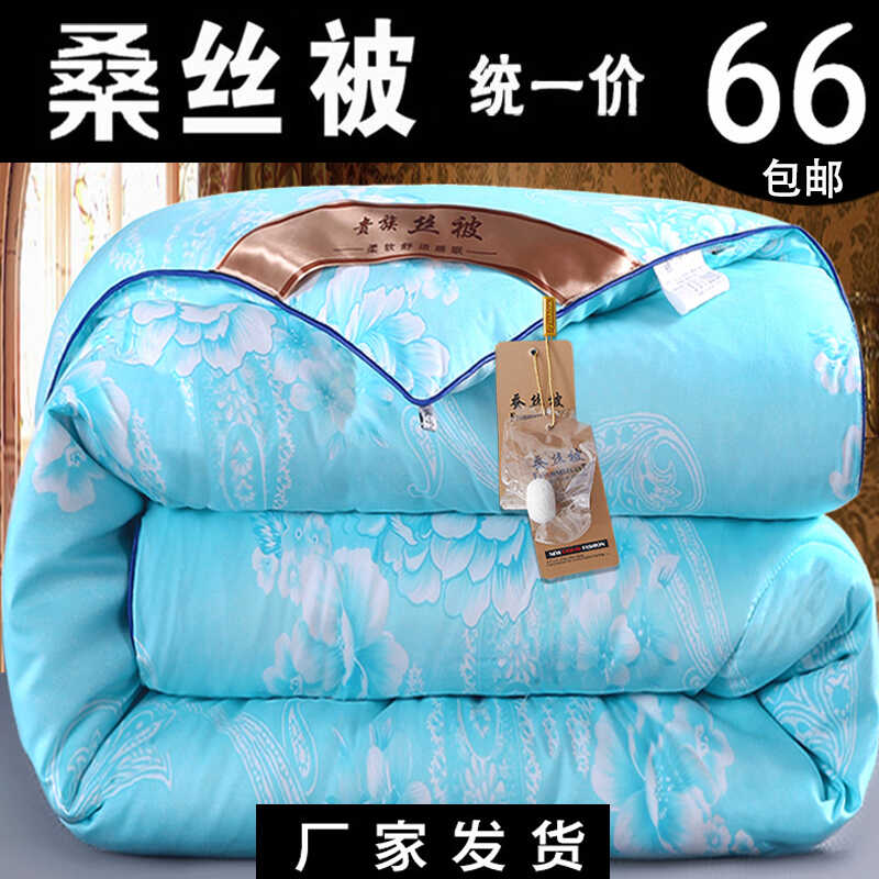桑丝被冬被加厚被子冬款纯棉被芯