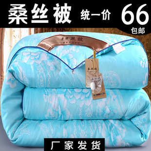 加厚纯棉蚕丝被子冬被保暖丝棉被芯春秋冬季 太空被褥棉絮双人冬天