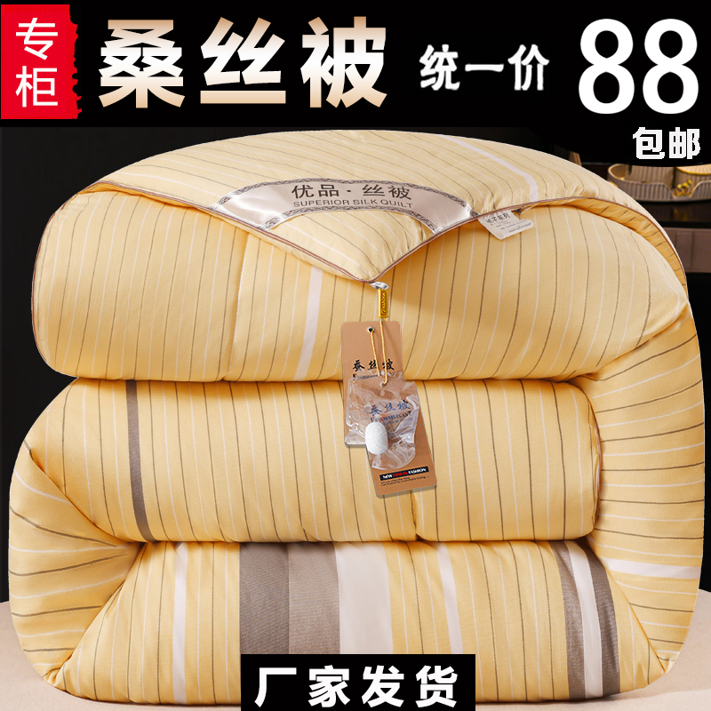 加厚被子冬被桑丝被冬款丝棉被芯