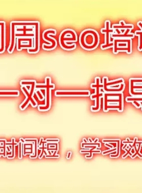 网站seo培训网站建设优化培训一对一教学